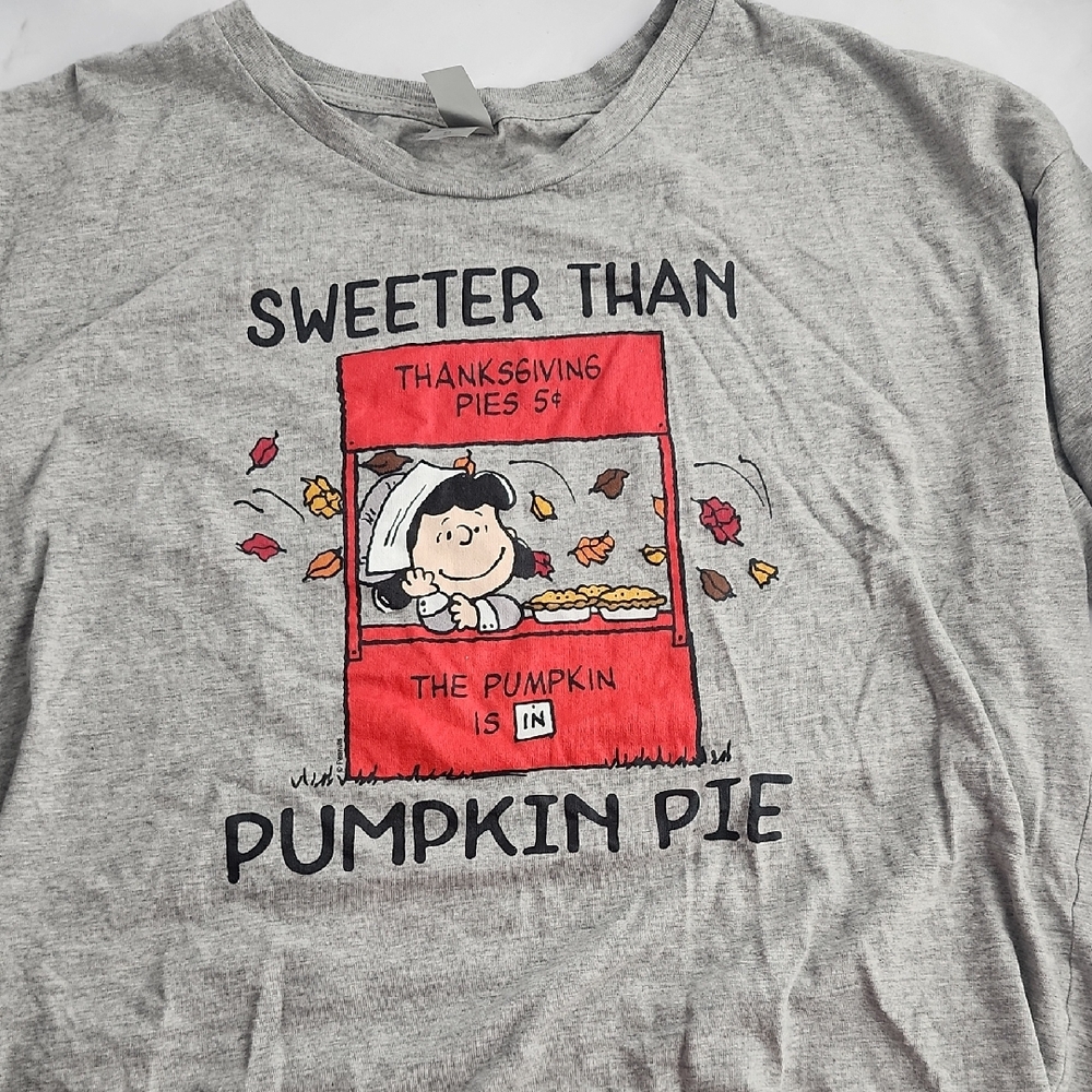 Peanuts Gray Pumpkin Pie Kids T-Shirt